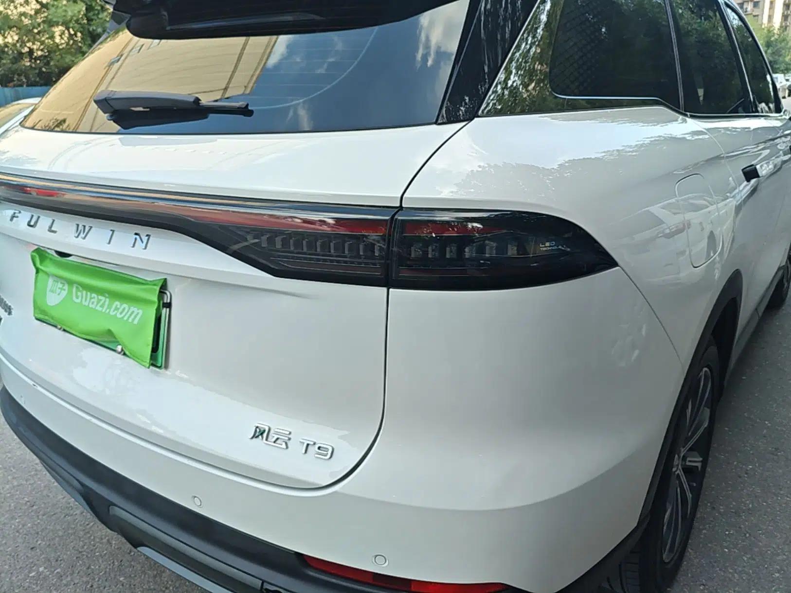 Chery Fengyun T9 2024 120 Long-Range Standard Version 5 Seats Lithium-NMC Battery — миниатюра 9