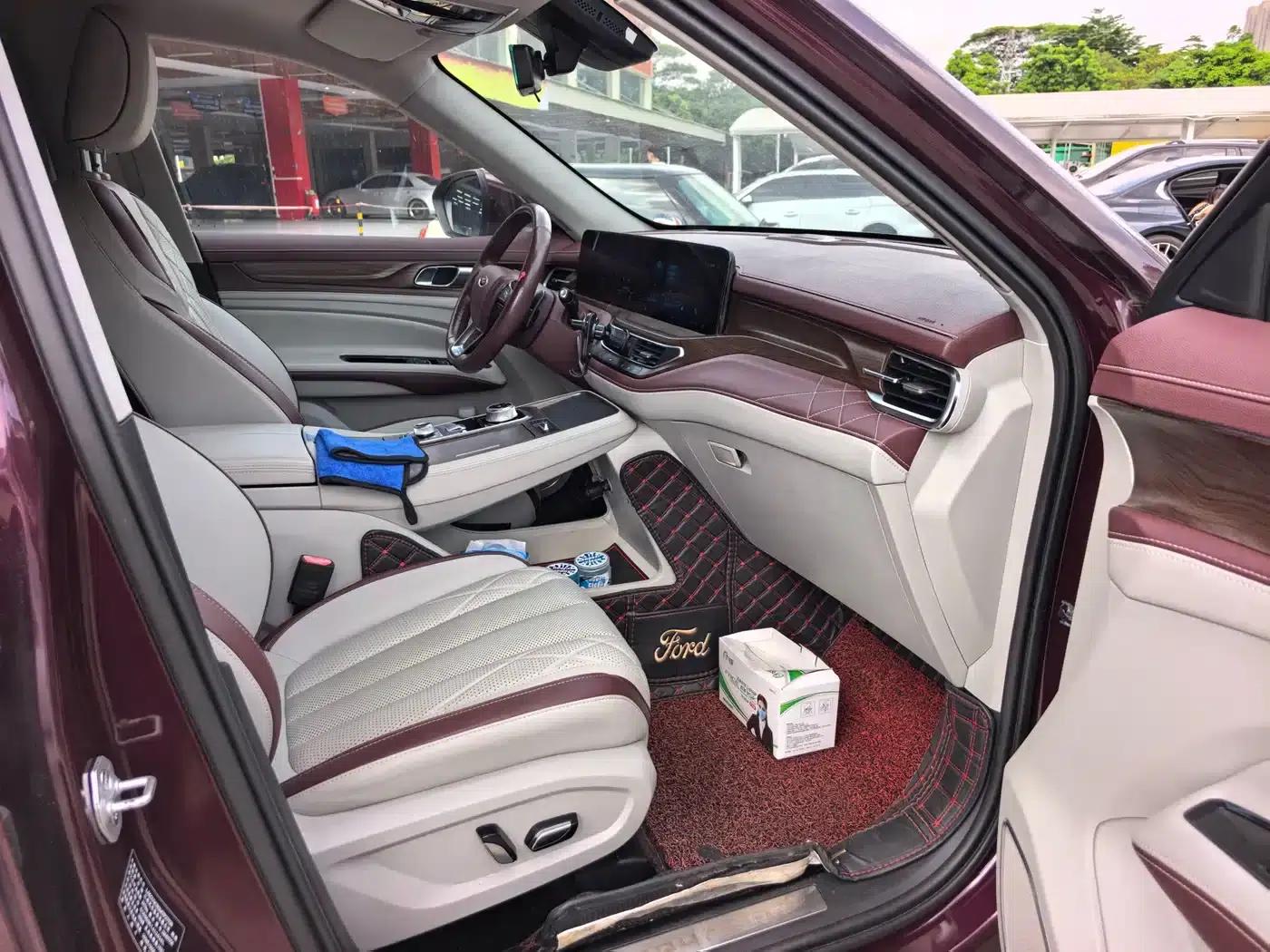 Lingyu 2021 EcoBoost 225 Premium 6-seater — миниатюра 13