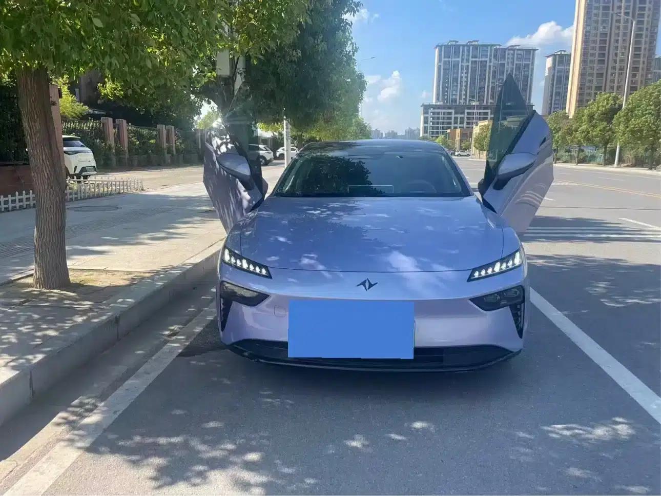 eπ007 2024 Pure Electric 540 AWD Max Edition — миниатюра 3