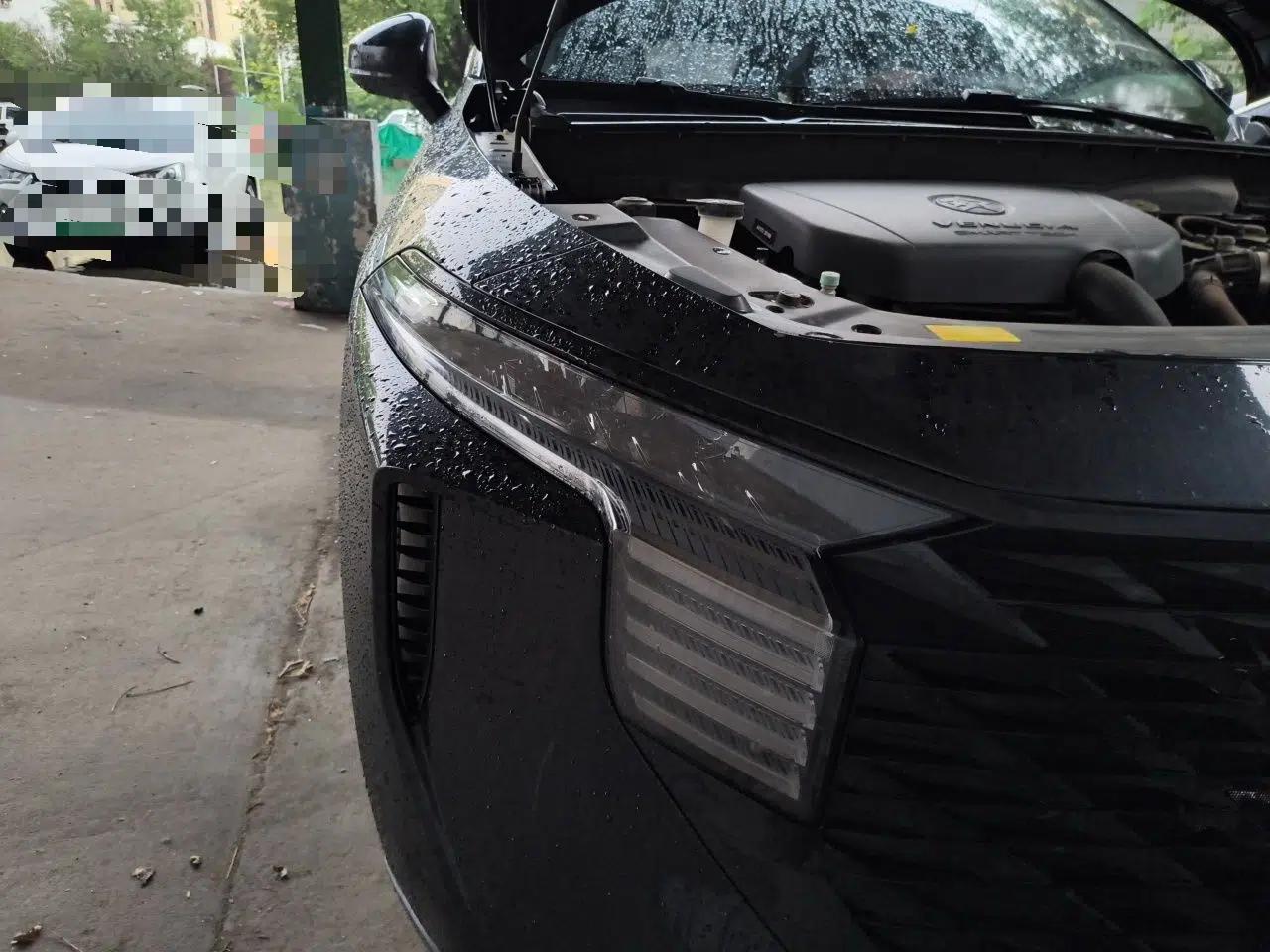 Venucia V 2022 260T Black Horse Edition · Idol — миниатюра 7
