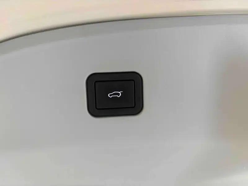 Euler Ballet Cat 2023 500km Premium Edition — миниатюра 23