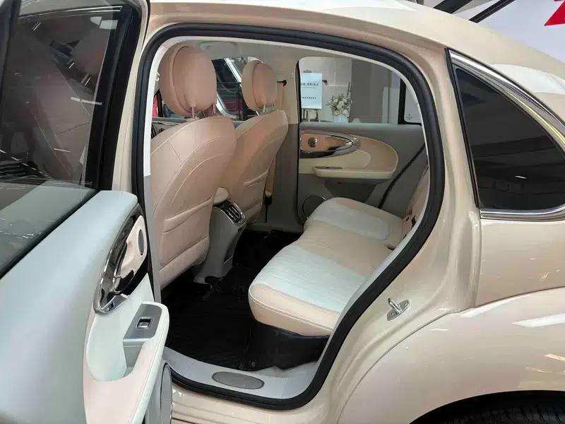 Euler Ballet Cat 2023 500km Premium Edition — миниатюра 36