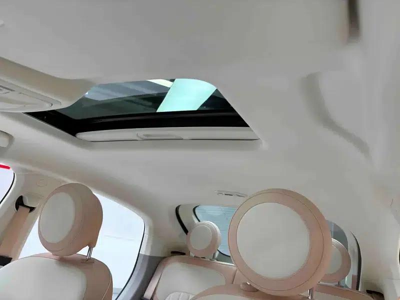 Euler Ballet Cat 2023 500km Premium Edition — миниатюра 37