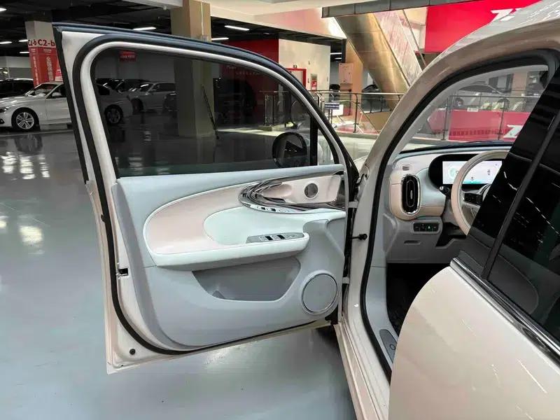 Euler Ballet Cat 2023 500km Premium Edition — миниатюра 38