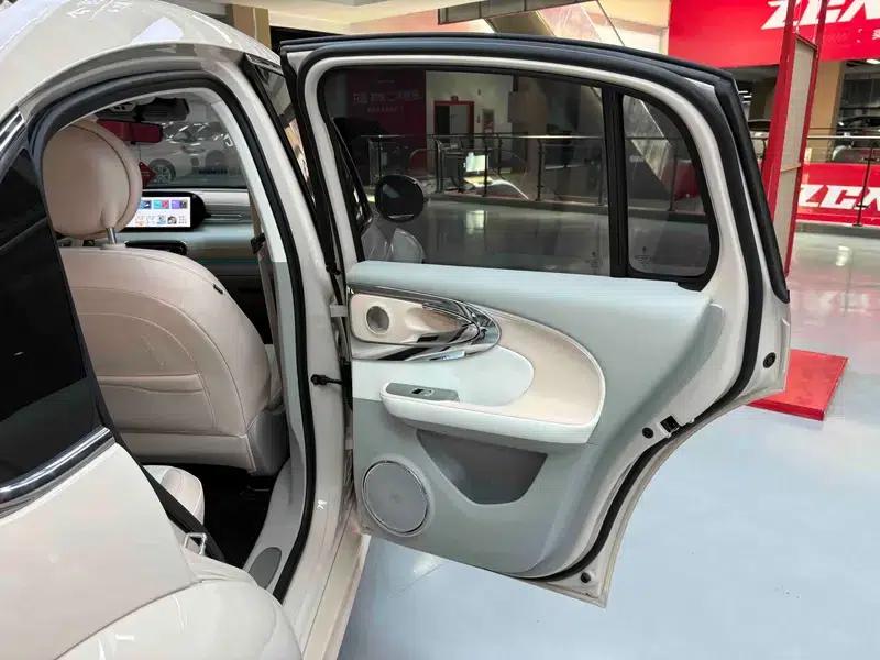 Euler Ballet Cat 2023 500km Premium Edition — миниатюра 42