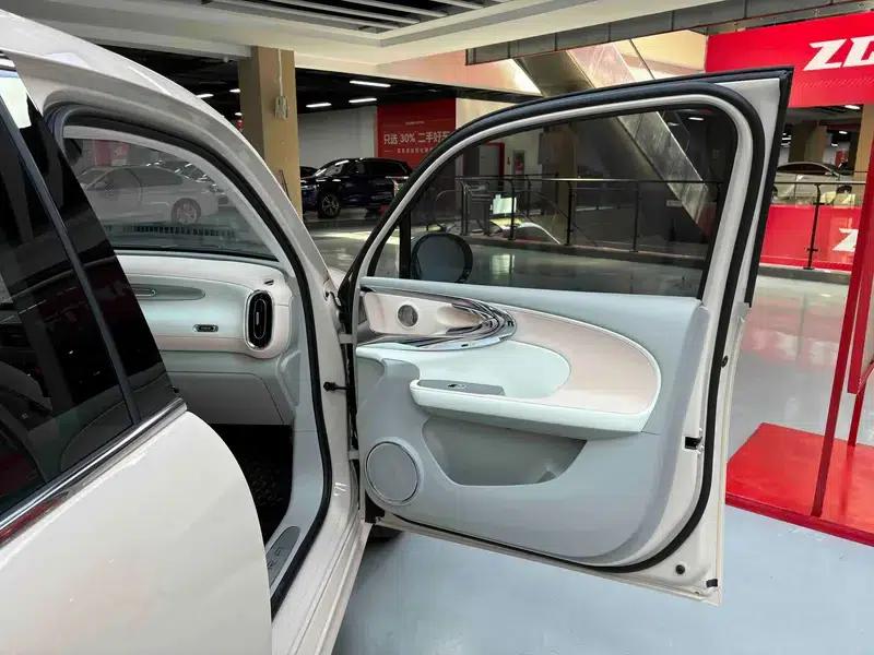 Euler Ballet Cat 2023 500km Premium Edition — миниатюра 43