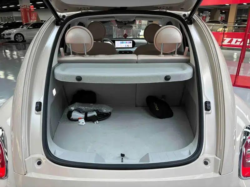 Euler Ballet Cat 2023 500km Premium Edition — миниатюра 44
