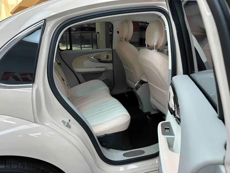 Euler Ballet Cat 2023 500km Premium Edition — миниатюра 45