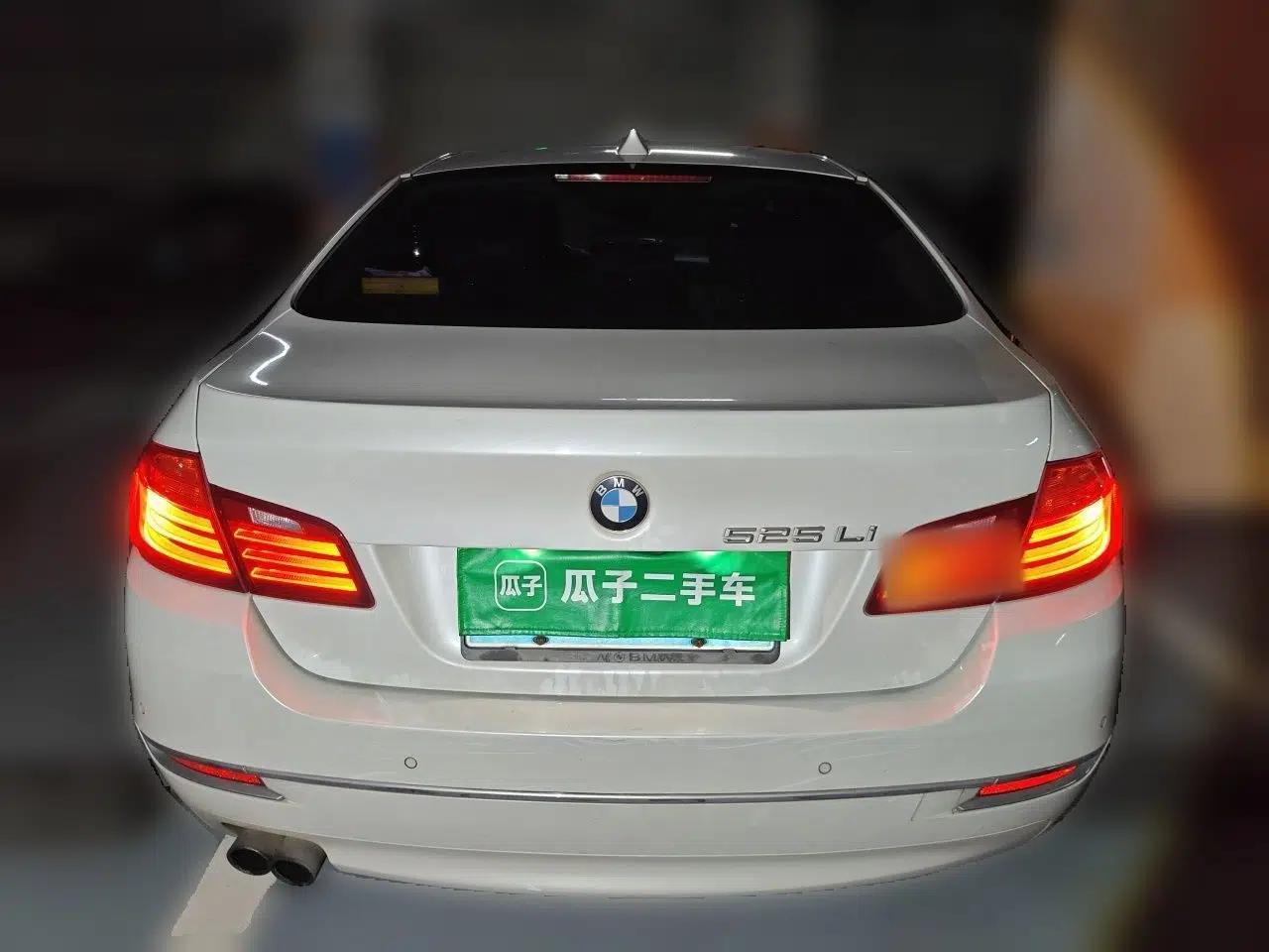 BMW 5 Series 2014 525Li Luxury Design Package — миниатюра 5