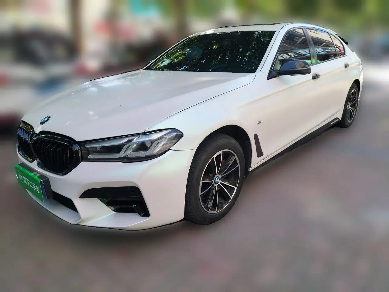 BMW 5 Series 2013 520Li Elegant Edition — миниатюра 1
