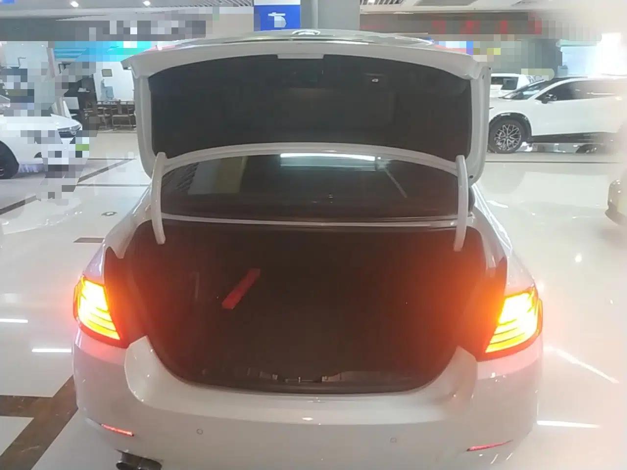 BMW 5 Series 2017 525Li Leading Model — миниатюра 22