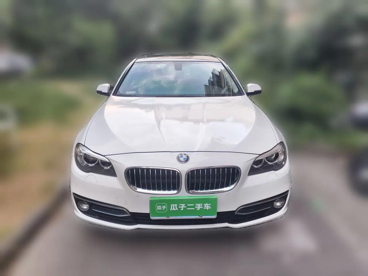 BMW 5 Series 2014 525Li Luxury Design Package — миниатюра 2
