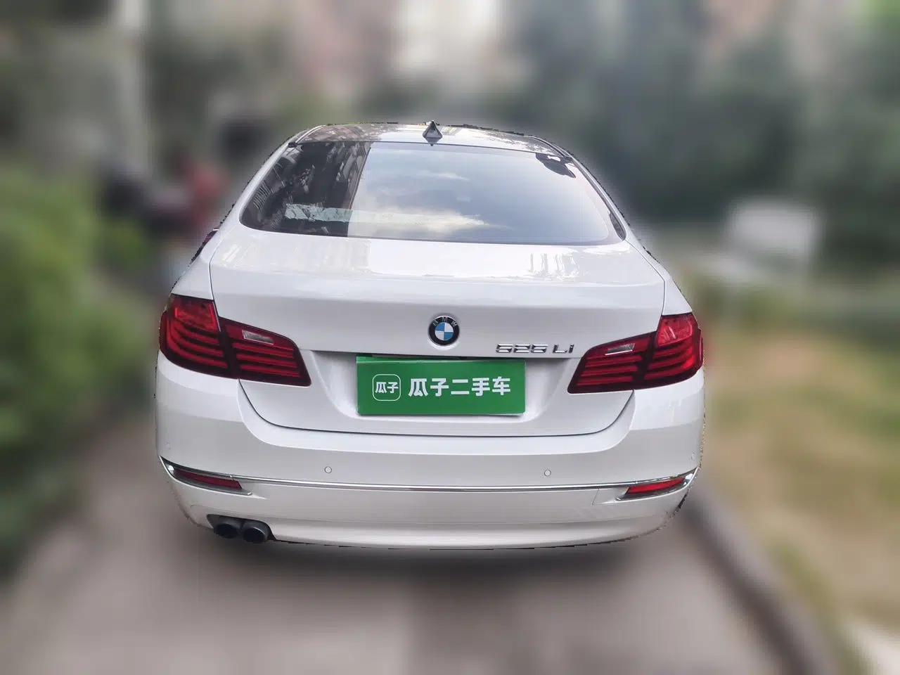 BMW 5 Series 2014 525Li Luxury Design Package — миниатюра 5