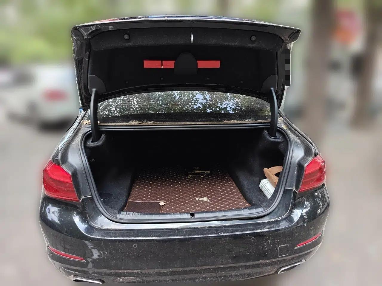 BMW 5 Series 2018 528Li Launch Special Edition — миниатюра 19