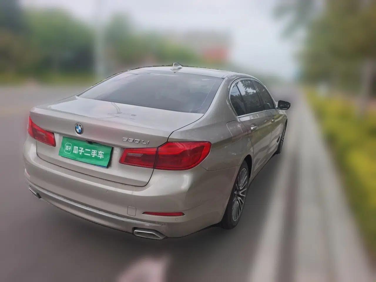 BMW 5 Series 2018 Facelifted 530Li Luxury Edition Premium Package — миниатюра 6