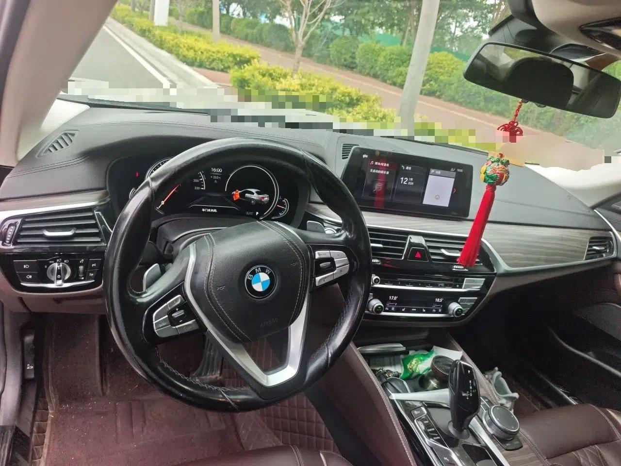 BMW 5 Series 2018 Facelifted 530Li Luxury Edition Premium Package — миниатюра 9