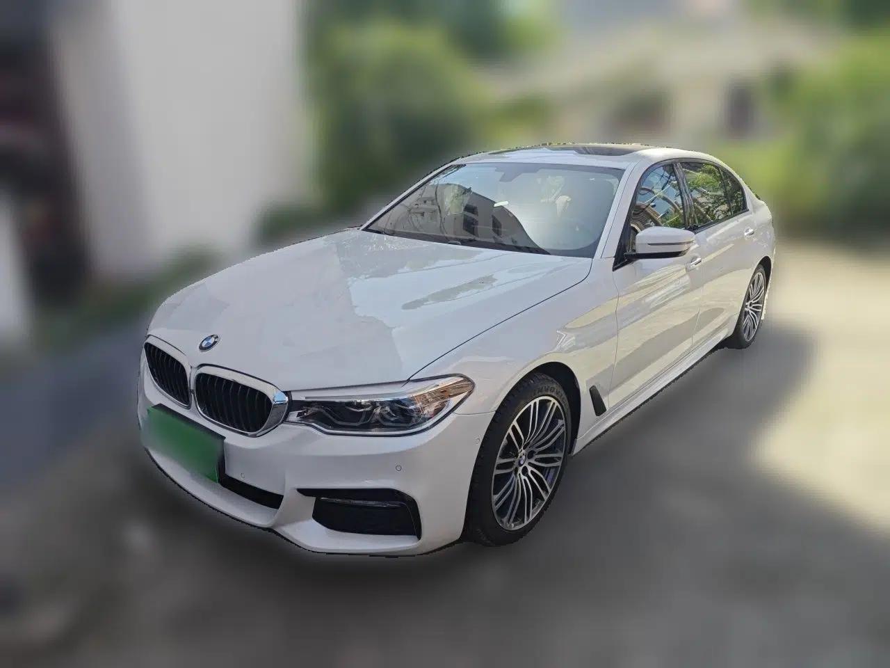 BMW 5 Series 2018 530Li Luxury Edition M Sport Package — миниатюра 1
