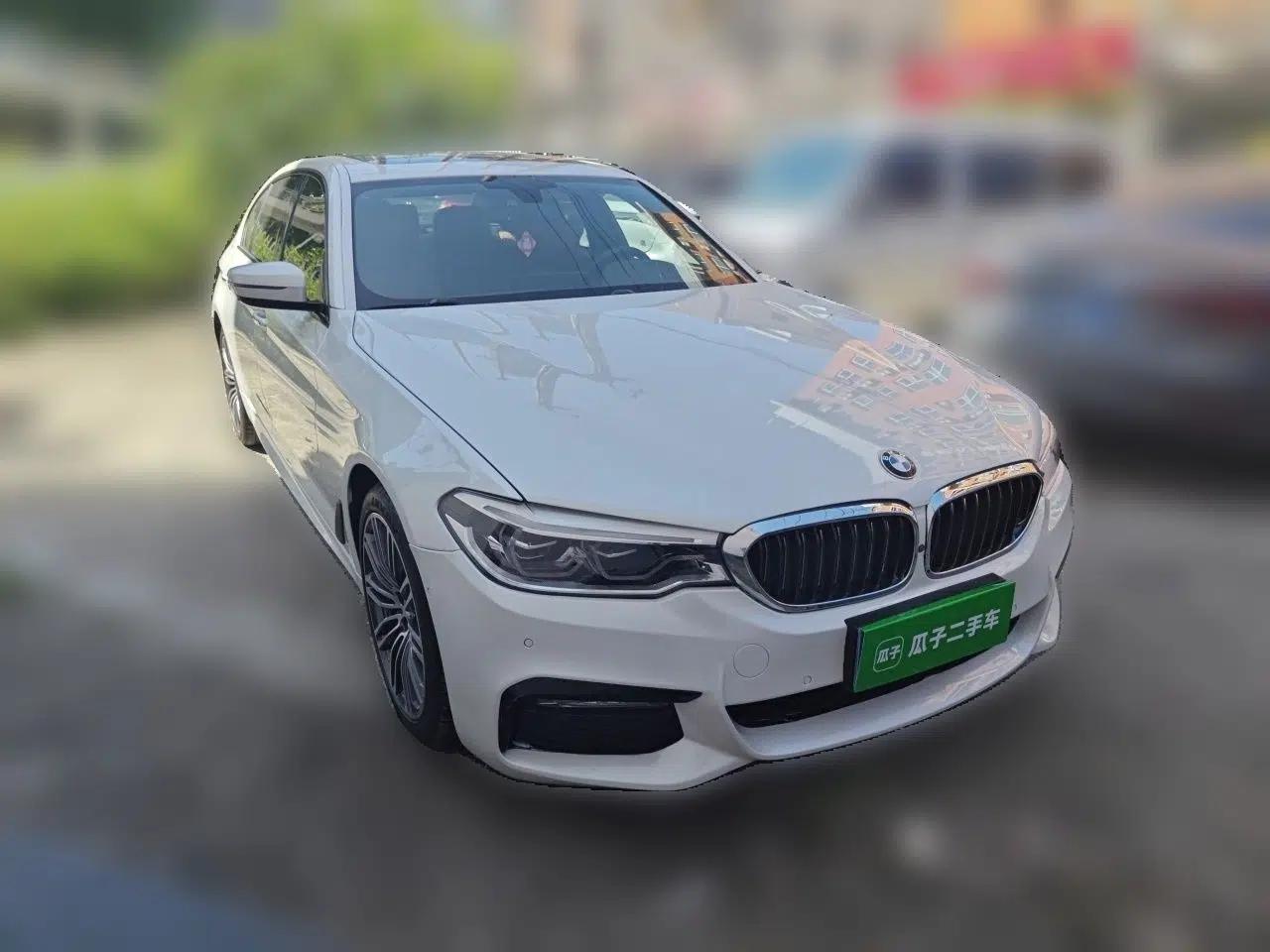 BMW 5 Series 2018 530Li Luxury Edition M Sport Package — миниатюра 3