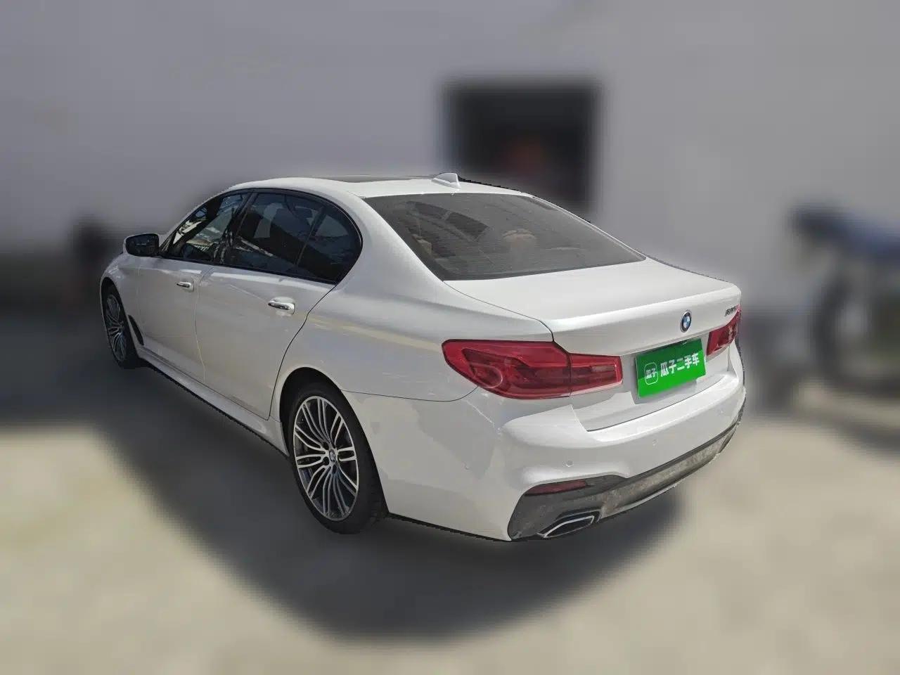 BMW 5 Series 2018 530Li Luxury Edition M Sport Package — миниатюра 4