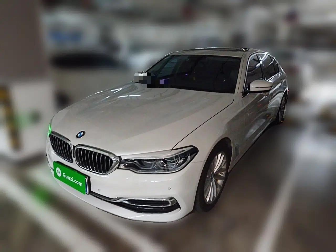 BMW 5 Series 2020 530Li Leading Edition Luxury Package — миниатюра 1