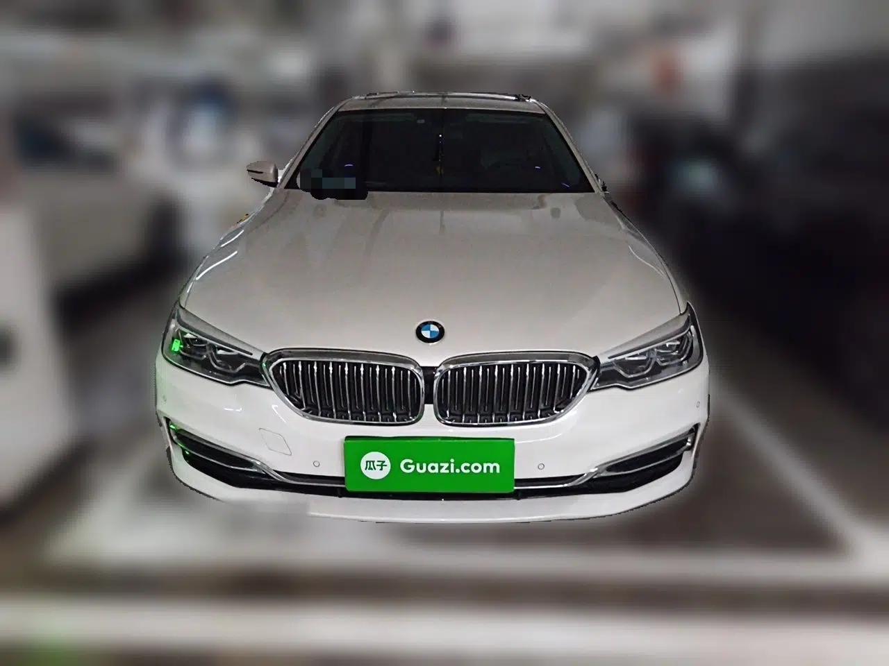 BMW 5 Series 2020 530Li Leading Edition Luxury Package — миниатюра 2