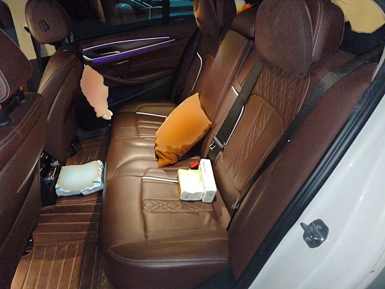 BMW 5 Series 2020 530Li Leading Edition Luxury Package — миниатюра 17