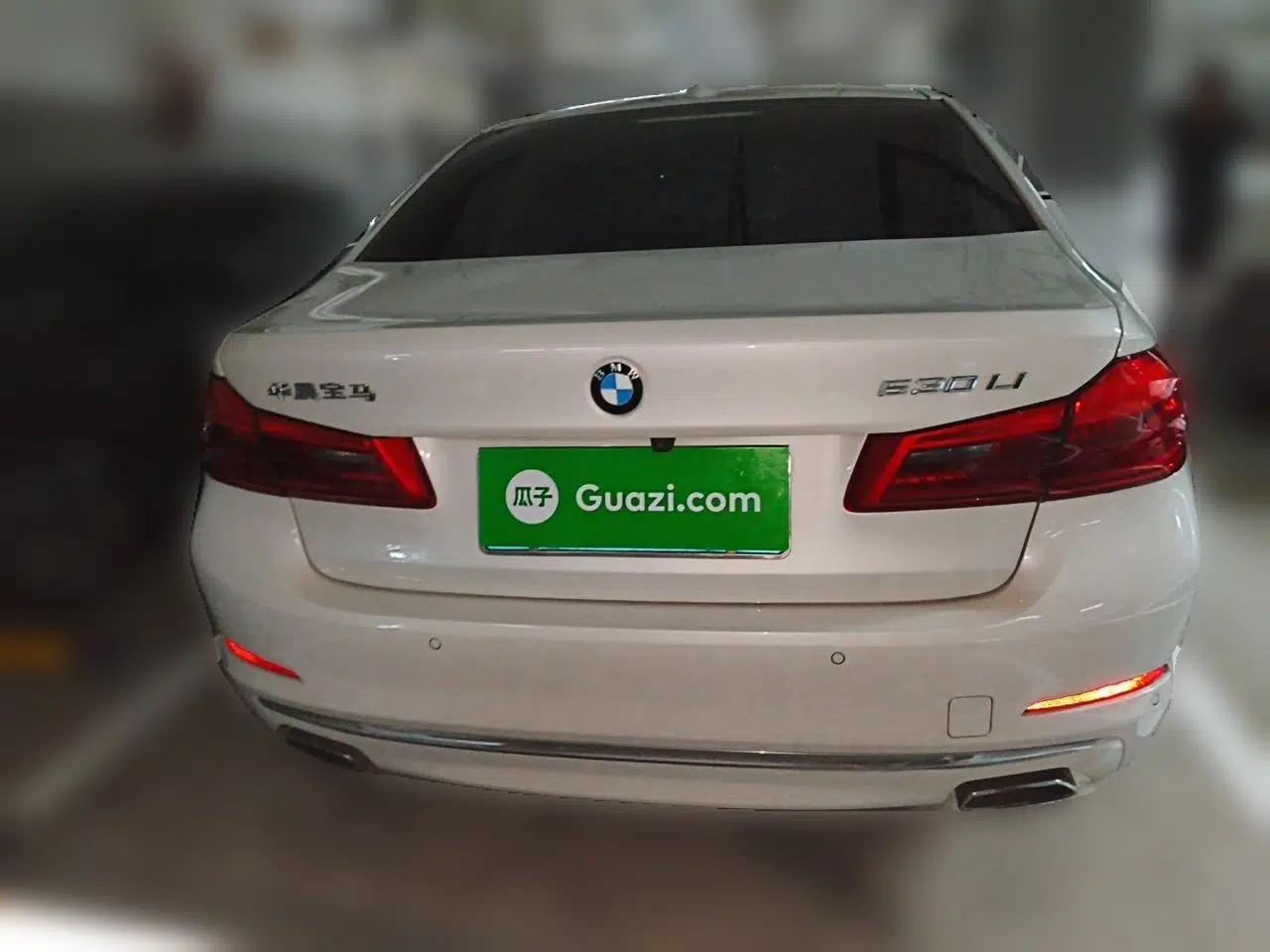 BMW 5 Series 2020 530Li Leading Edition Luxury Package — миниатюра 5