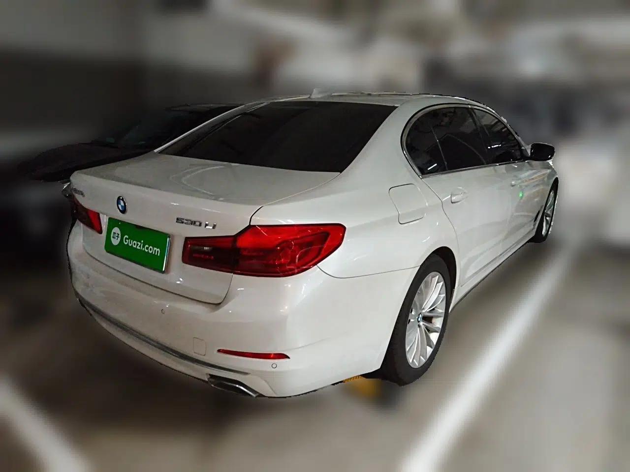 BMW 5 Series 2020 530Li Leading Edition Luxury Package — миниатюра 6
