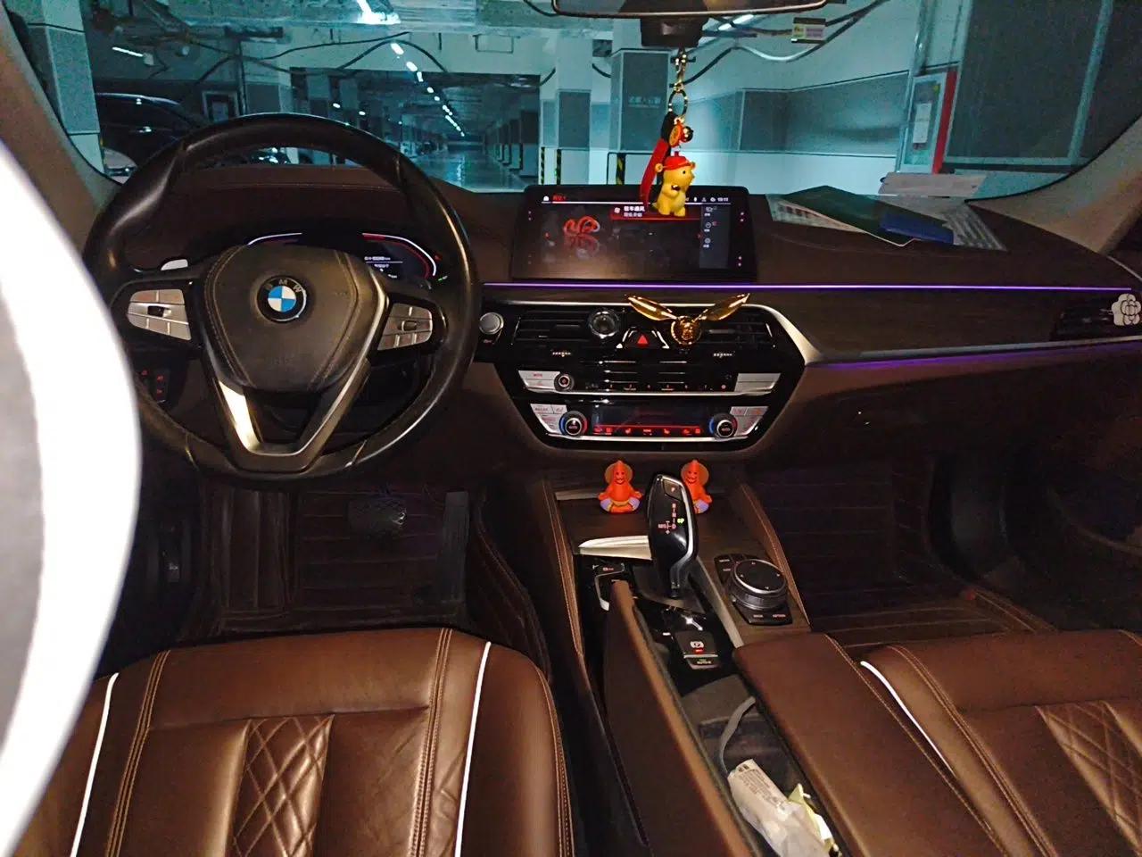 BMW 5 Series 2020 530Li Leading Edition Luxury Package — миниатюра 9