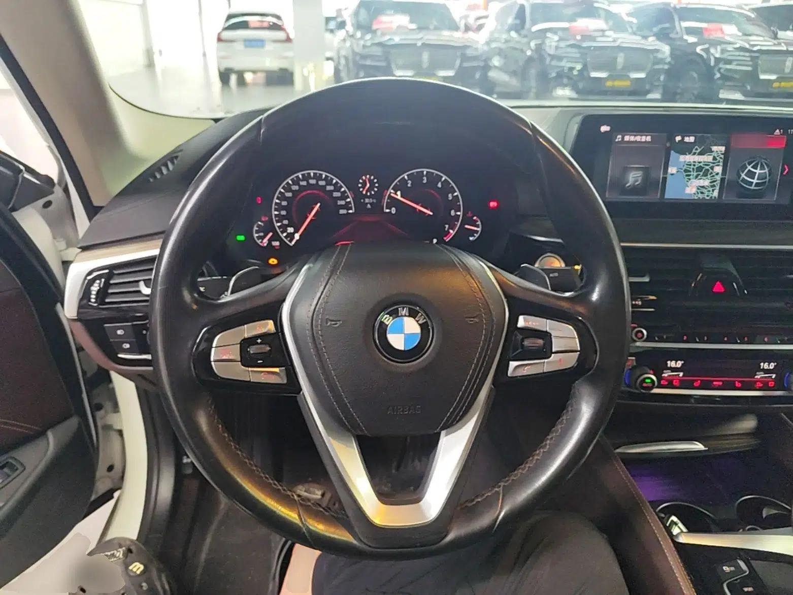 BMW 5 Series 2019 530Li Luxury Edition Premium Package — миниатюра 13