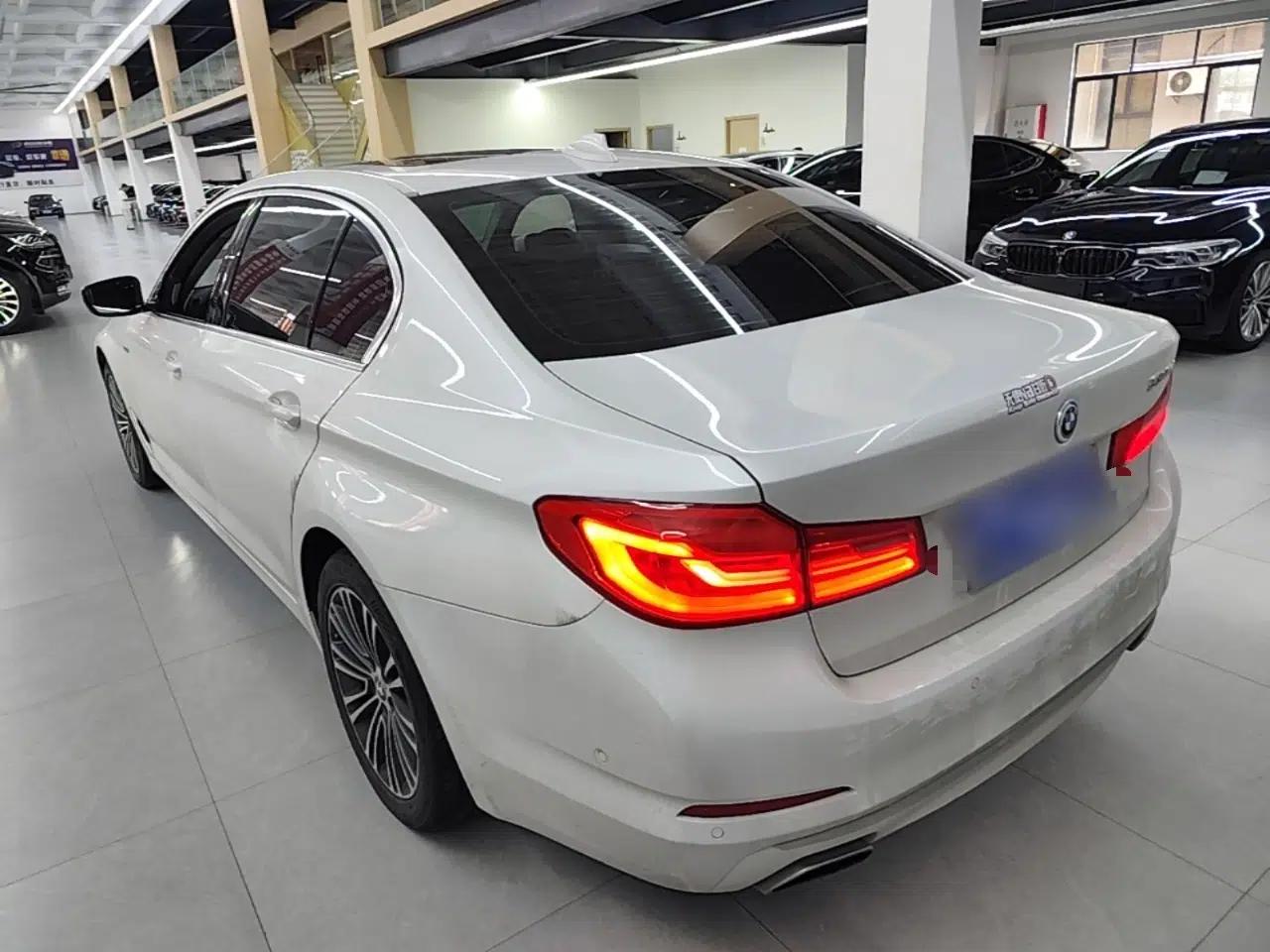 BMW 5 Series 2019 530Li Luxury Edition Premium Package — миниатюра 4