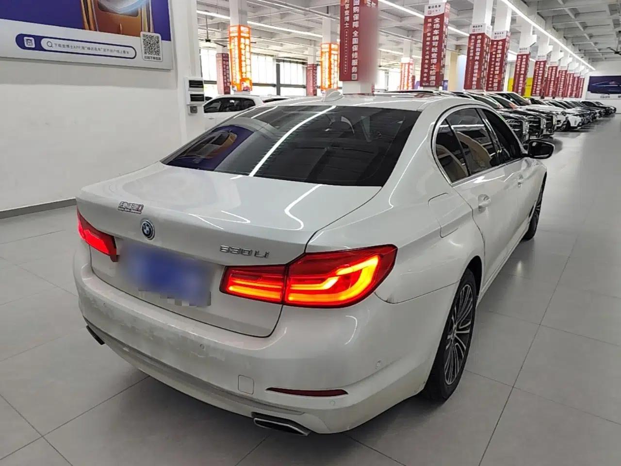 BMW 5 Series 2019 530Li Luxury Edition Premium Package — миниатюра 6