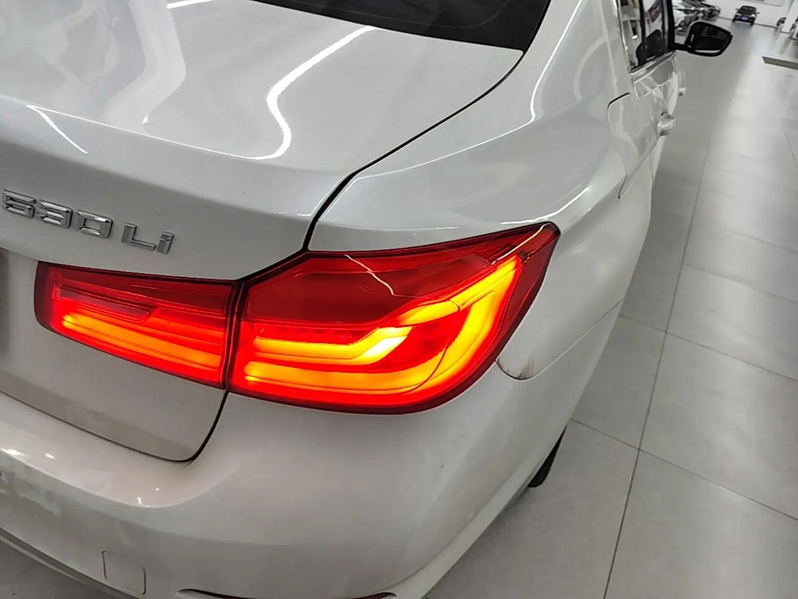 BMW 5 Series 2019 530Li Luxury Edition Premium Package — миниатюра 9