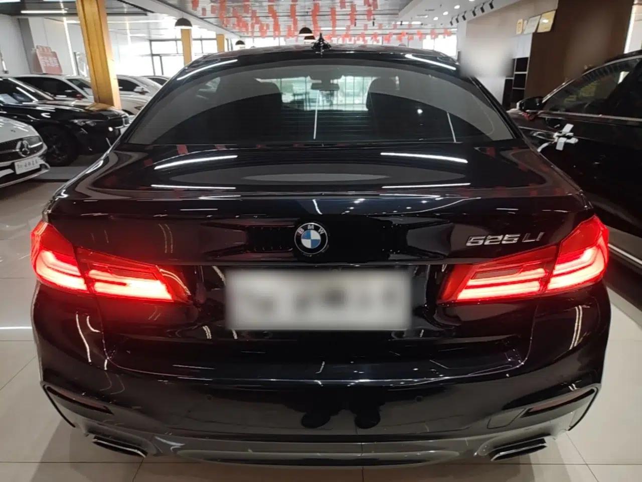 BMW 5 Series 2020 525Li M Sport Package — миниатюра 5