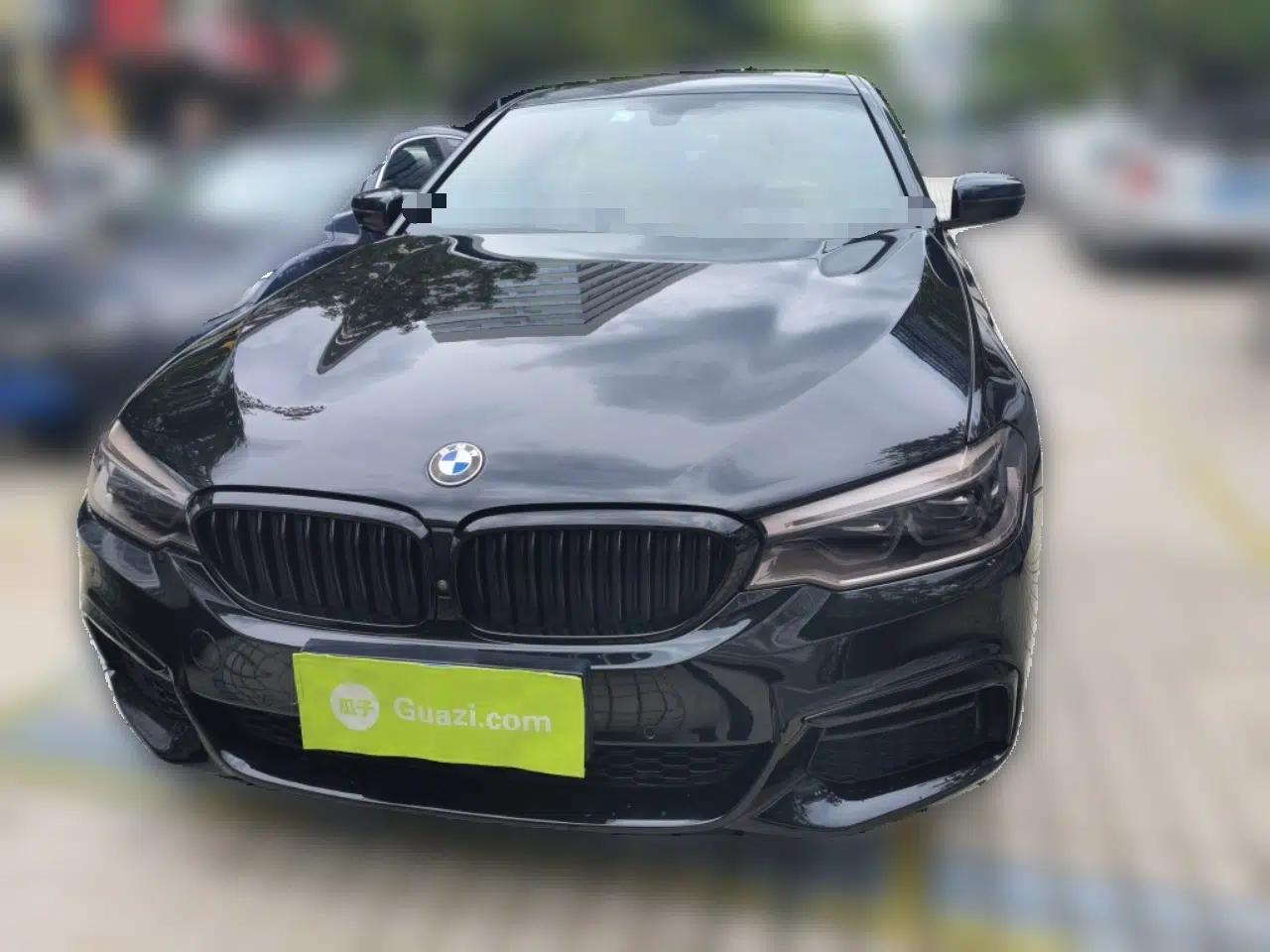BMW 5 Series 2019 530Li Luxury Edition M Sport Package — миниатюра 2