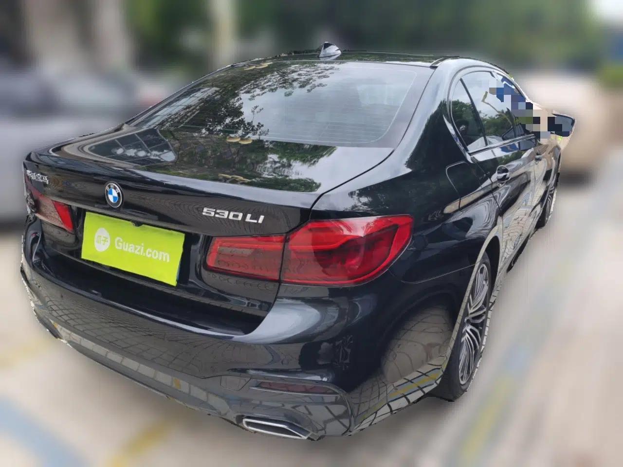 BMW 5 Series 2019 530Li Luxury Edition M Sport Package — миниатюра 6