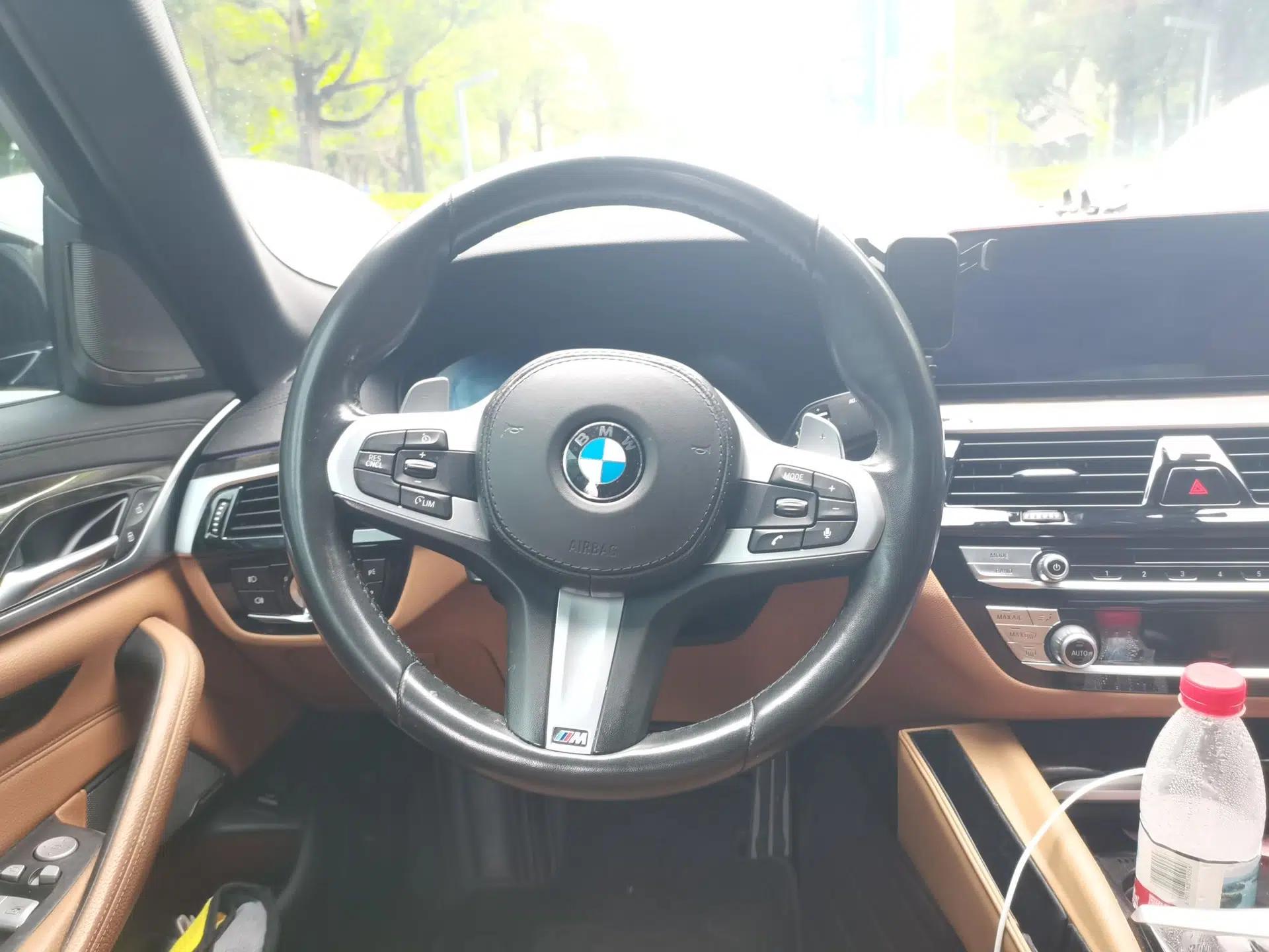 BMW 5 Series 2019 530Li Luxury Edition M Sport Package — миниатюра 10