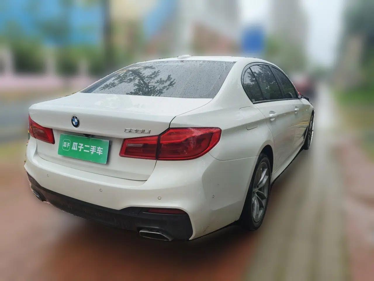 BMW 5 Series 2019 Restyled 525Li M Sport Package — миниатюра 6