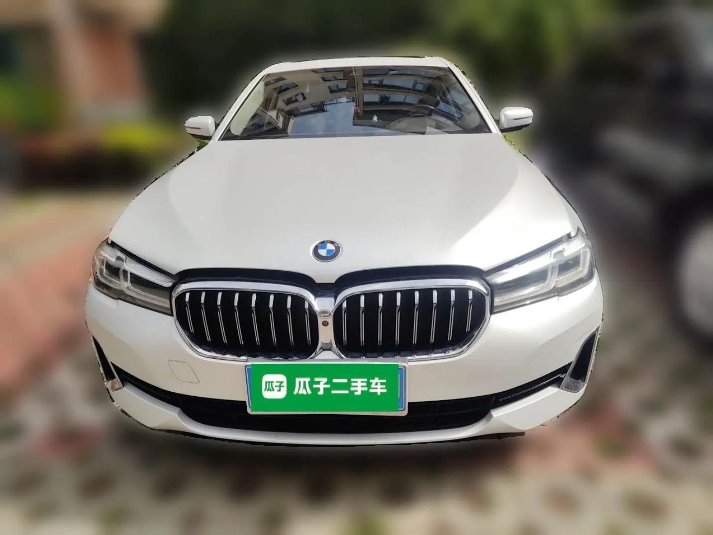 BMW 5 Series 2021 530Li Luxury Edition Premium Package — миниатюра 2
