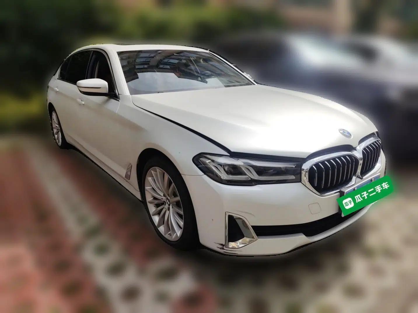 BMW 5 Series 2021 530Li Luxury Edition Premium Package — миниатюра 3
