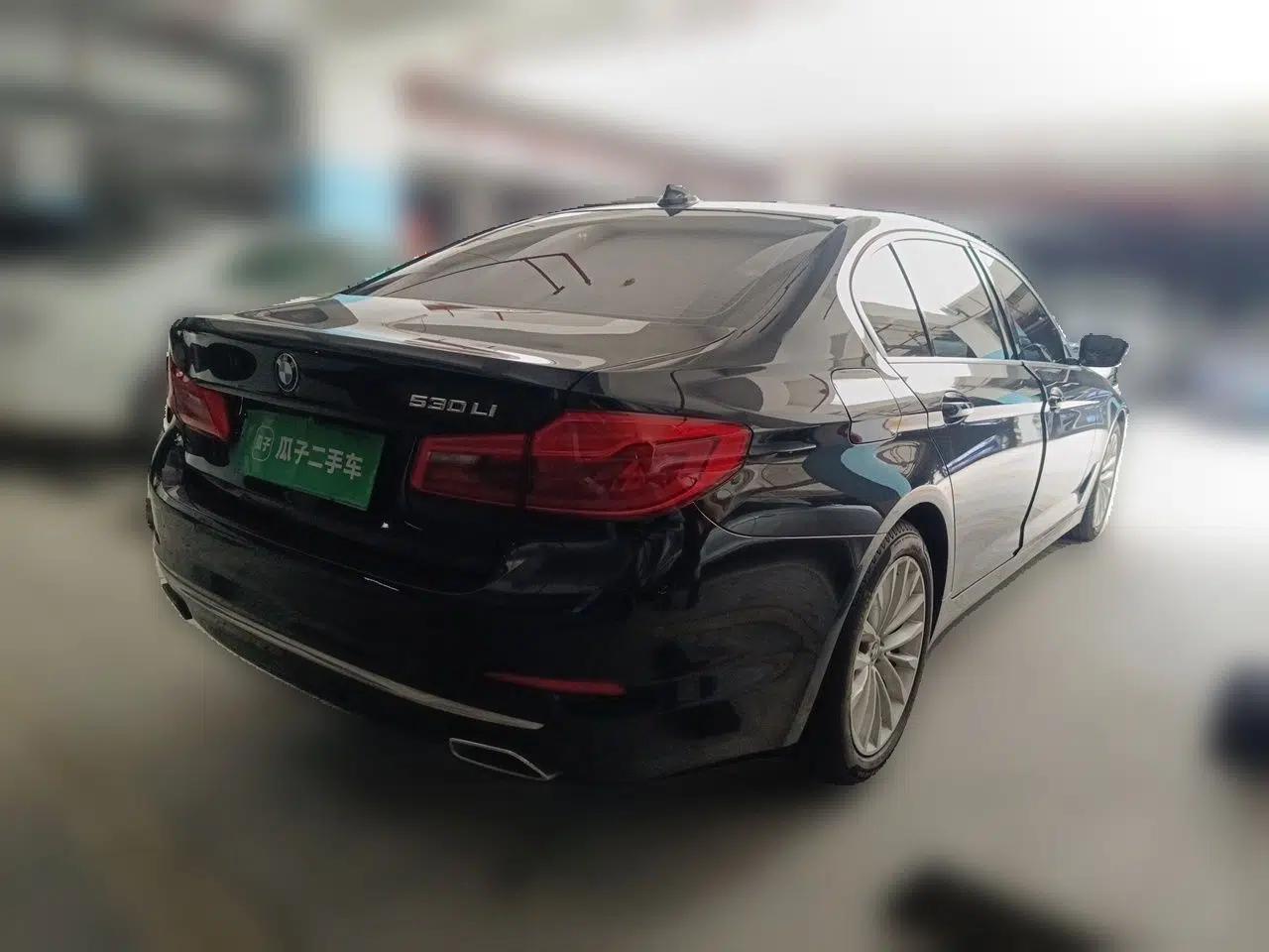 BMW 5 Series 2020 530Li Luxury Edition Premium Package — миниатюра 6