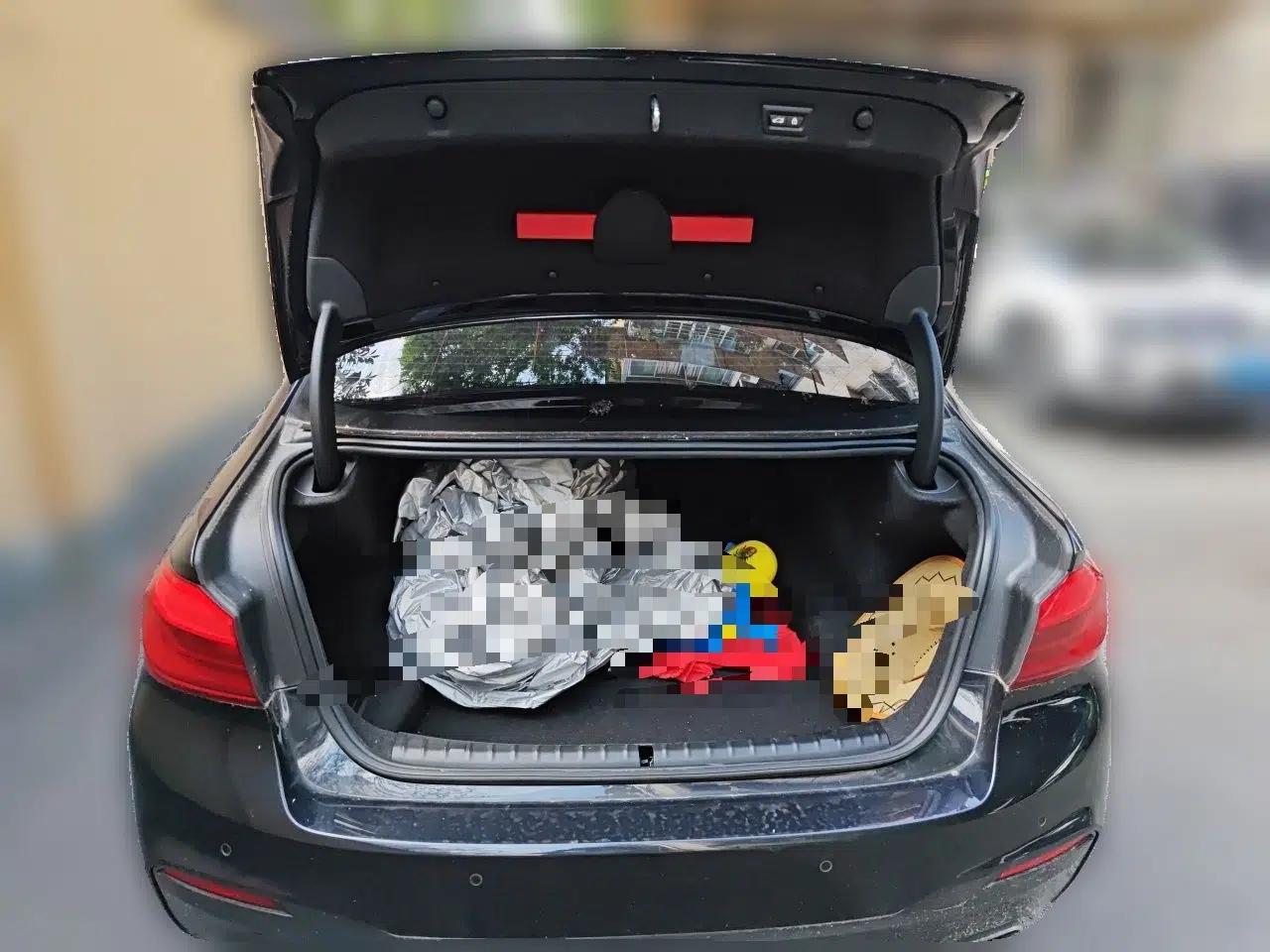 BMW 5 Series 2019 530Li Leading Model M Sport Package — миниатюра 16