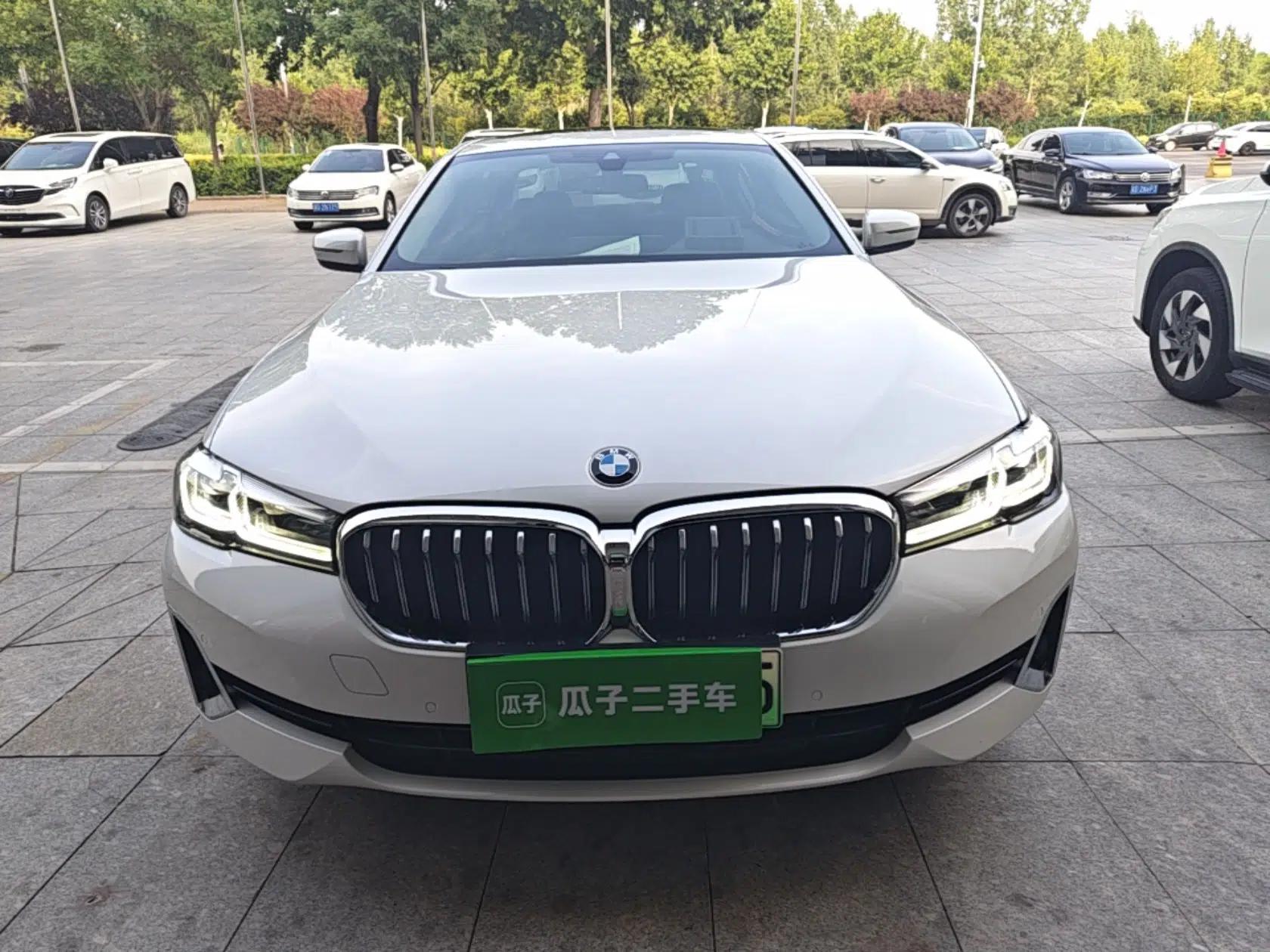 BMW 5 Series New Energy 2021 Updated 535Le Luxury Package — миниатюра 2