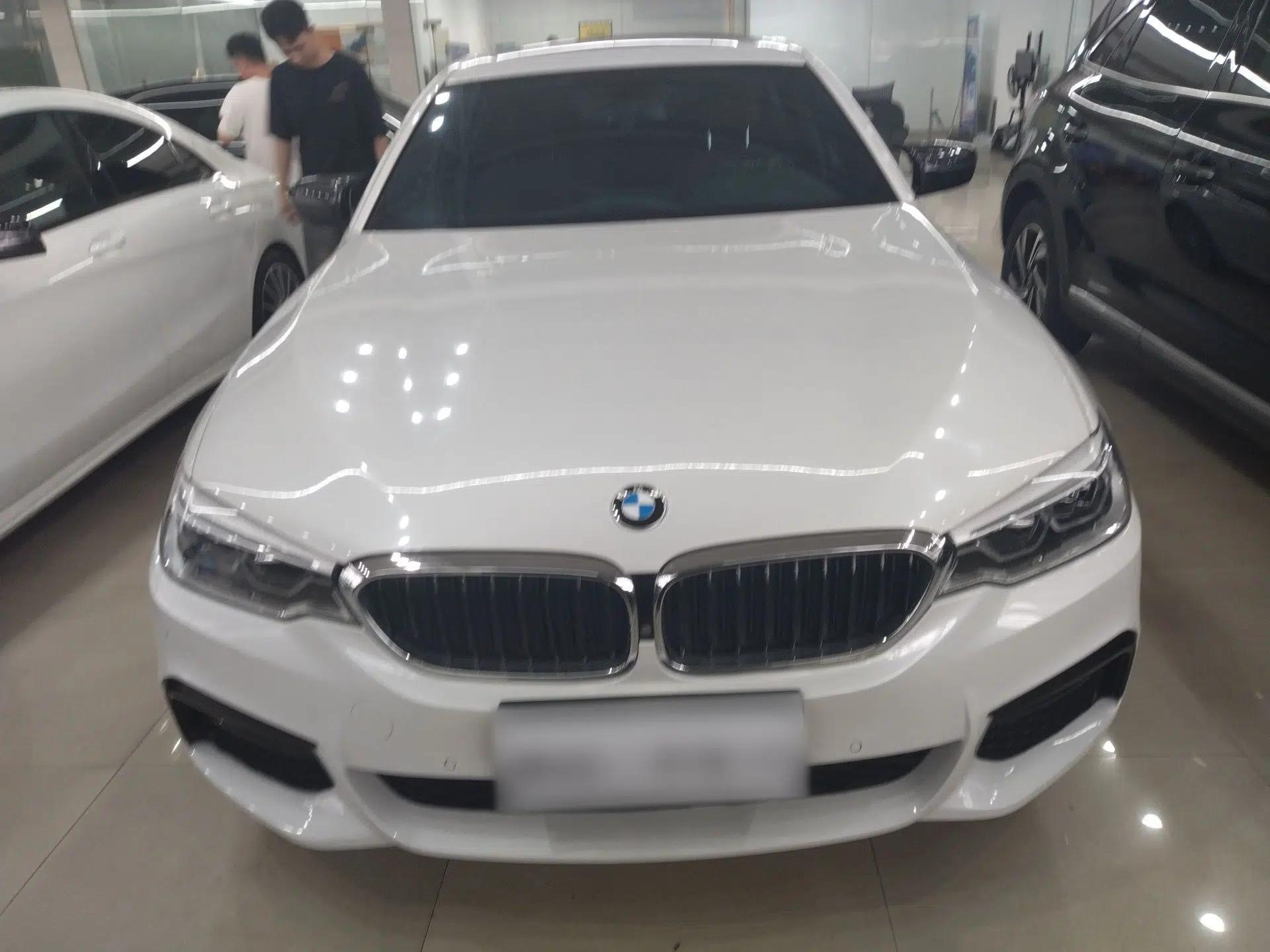 BMW 5 Series 2019 530Li Luxury Edition M Sport Package — миниатюра 2
