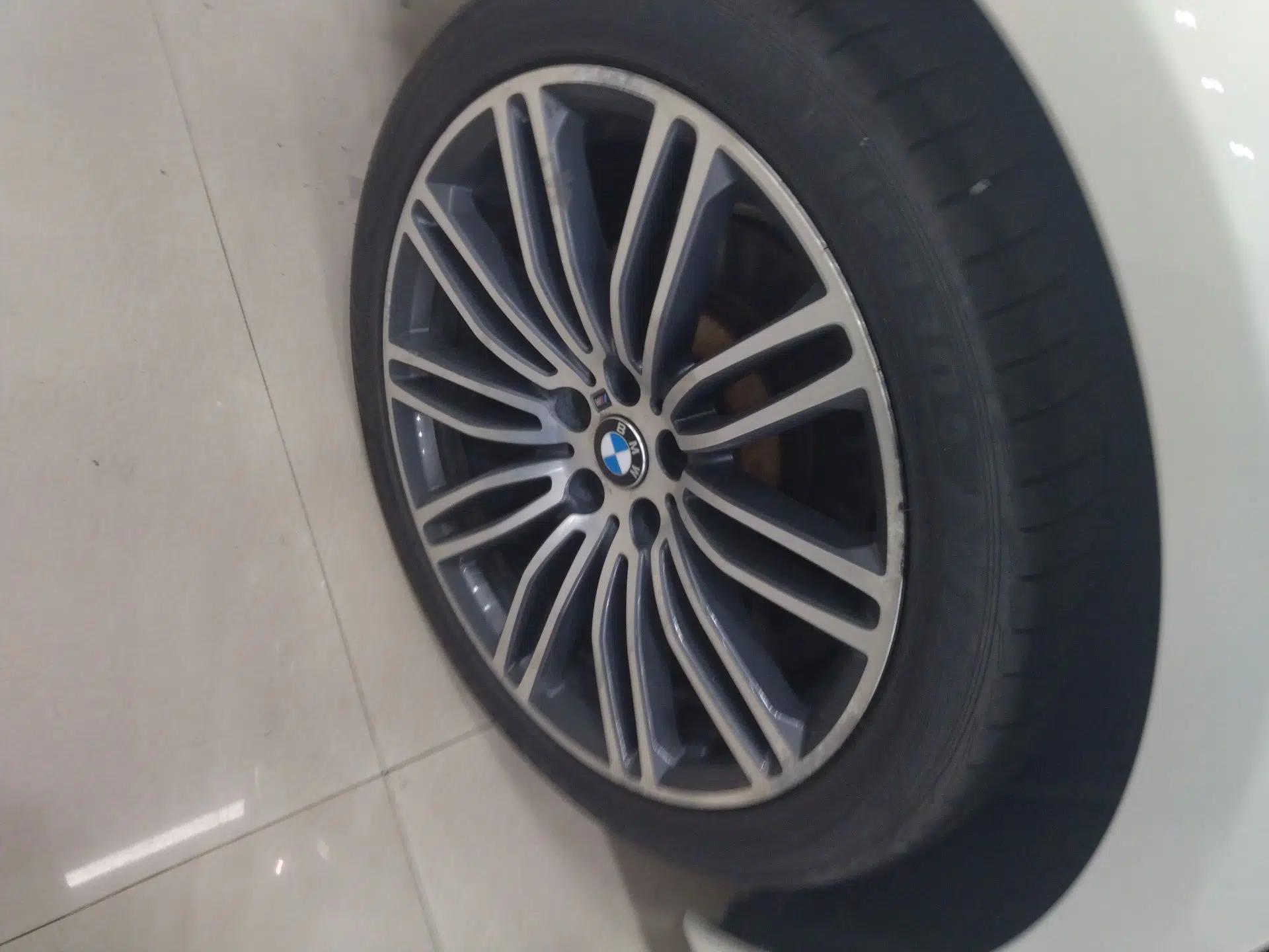 BMW 5 Series 2019 530Li Luxury Edition M Sport Package — миниатюра 11