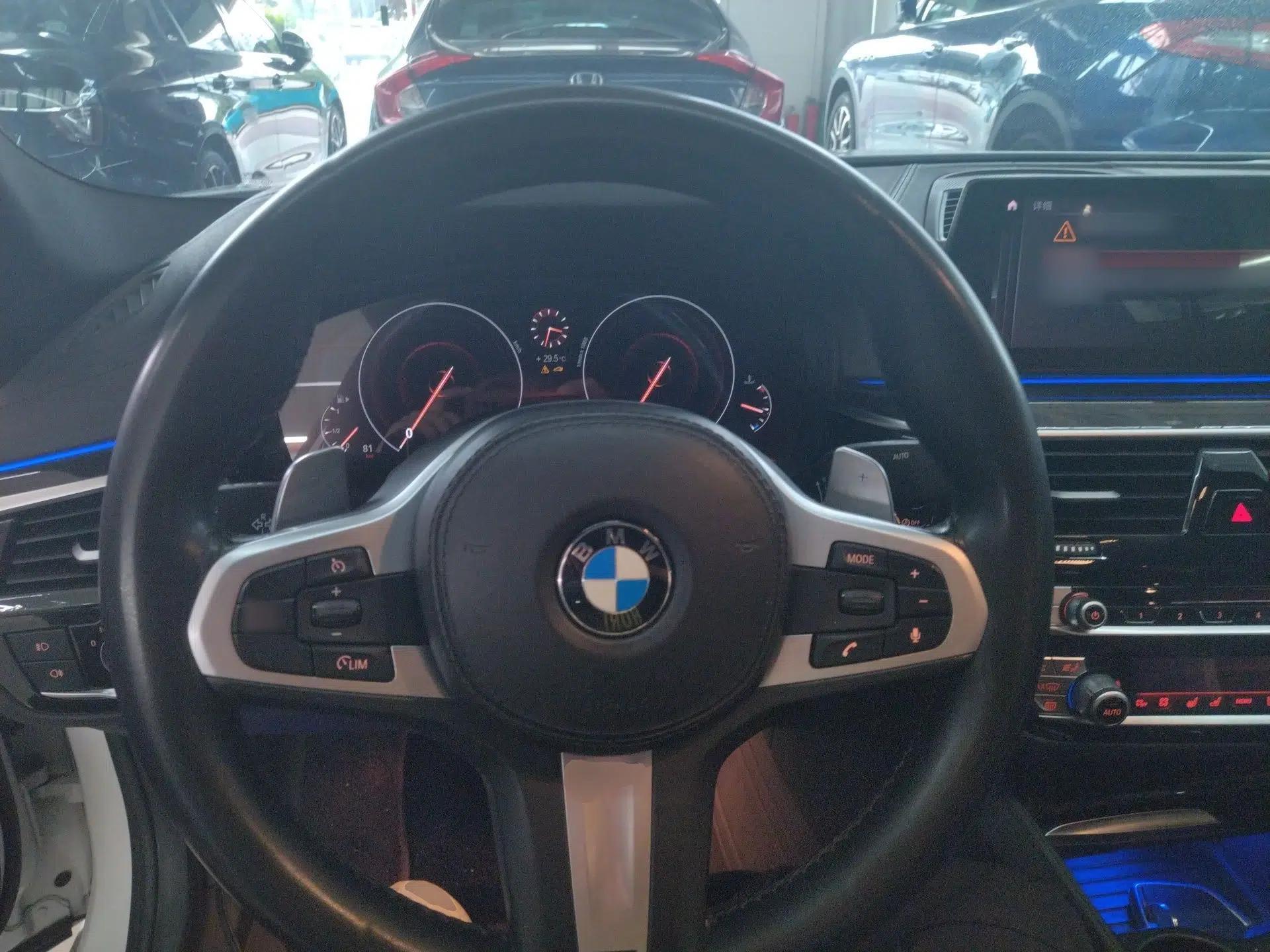 BMW 5 Series 2019 530Li Luxury Edition M Sport Package — миниатюра 13