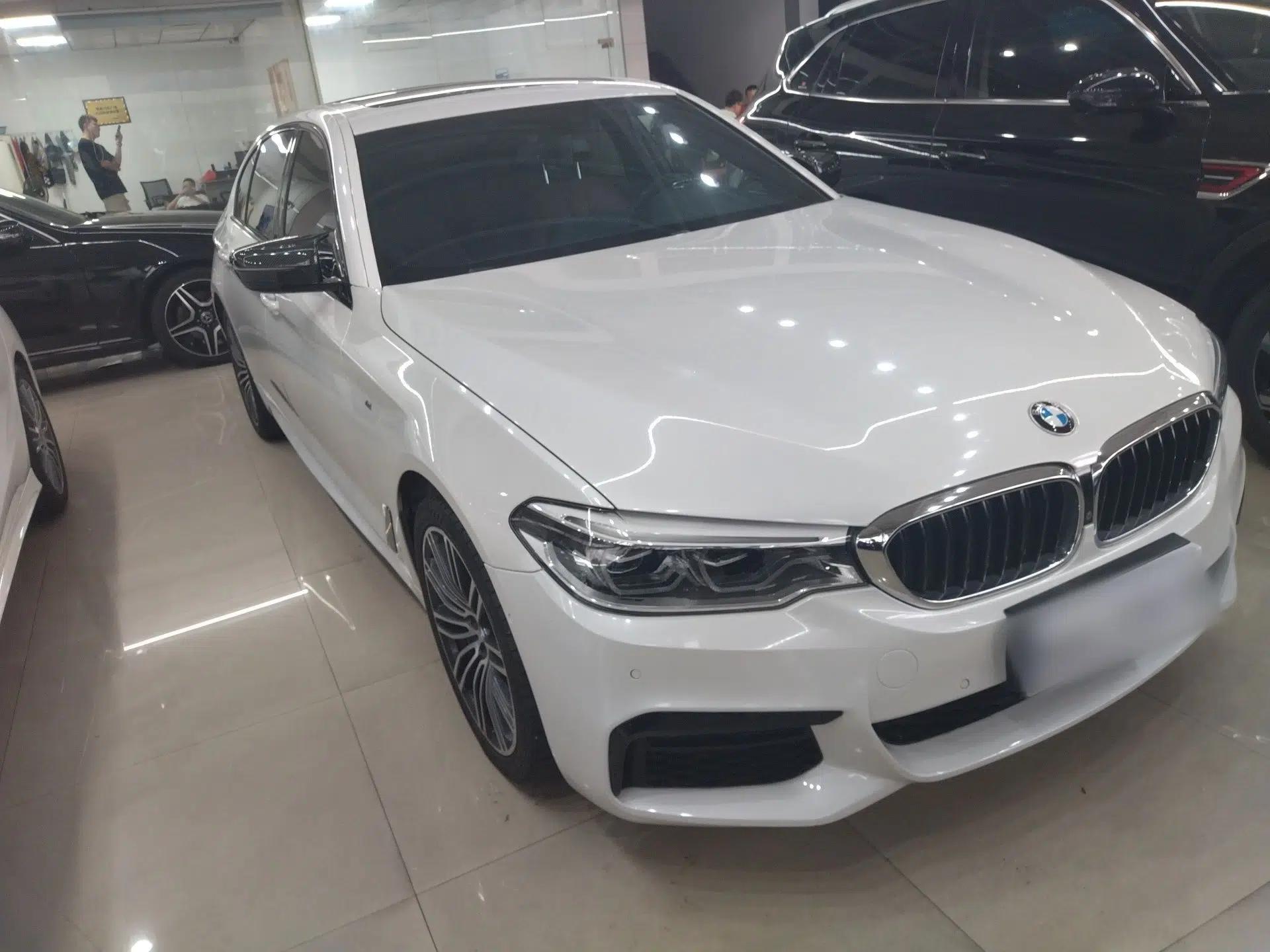 BMW 5 Series 2019 530Li Luxury Edition M Sport Package — миниатюра 7