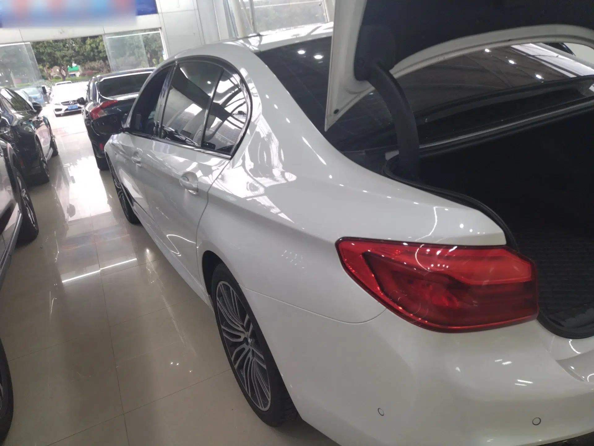BMW 5 Series 2019 530Li Luxury Edition M Sport Package — миниатюра 8