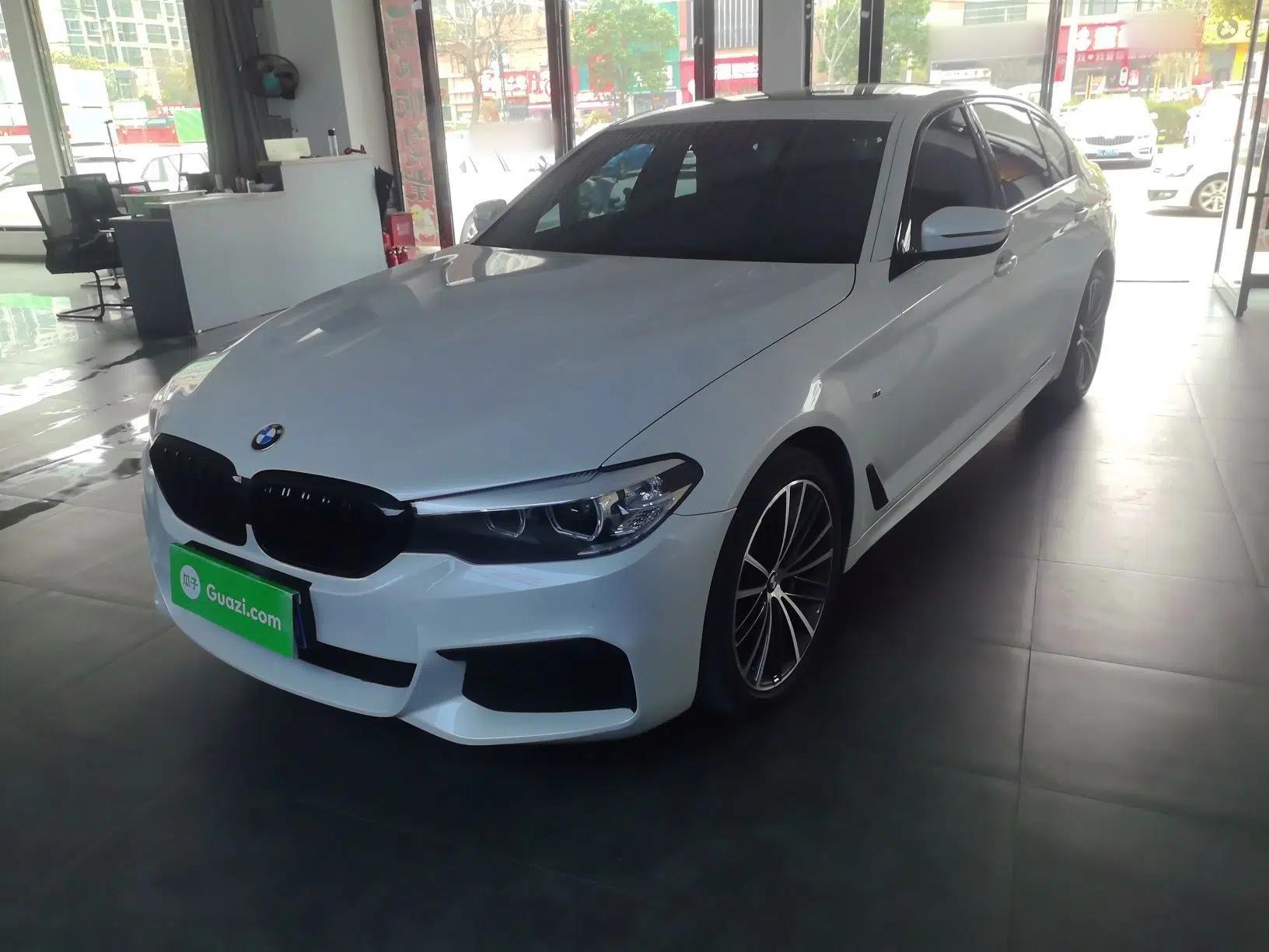 BMW 5 Series 2019 Facelifted 530Li Leading Edition M Sport Package — миниатюра 1