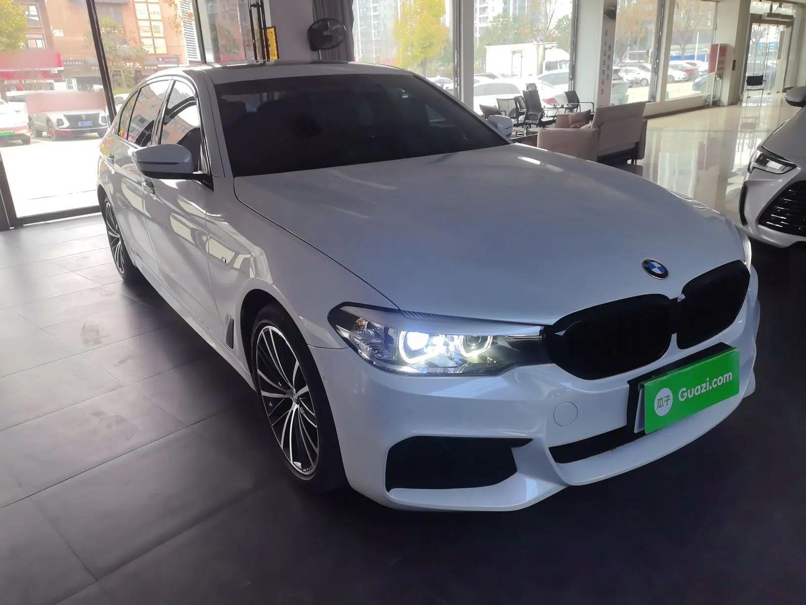 BMW 5 Series 2019 Facelifted 530Li Leading Edition M Sport Package — миниатюра 12
